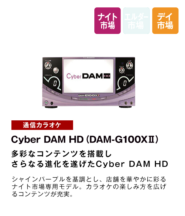 Cyber DAM HD（DAM-G100XII）